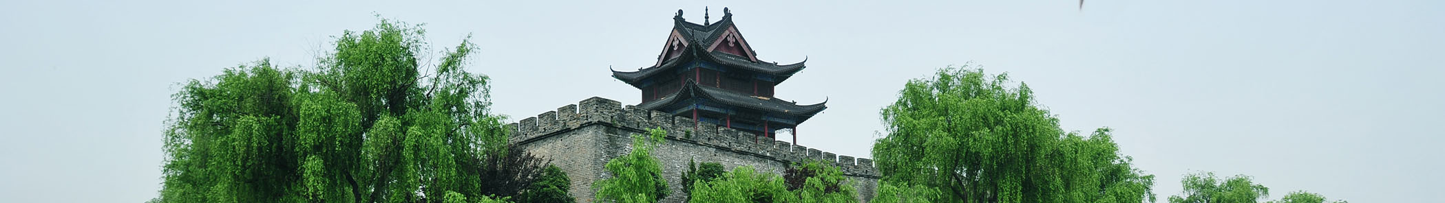 實力雄厚，經驗豐富